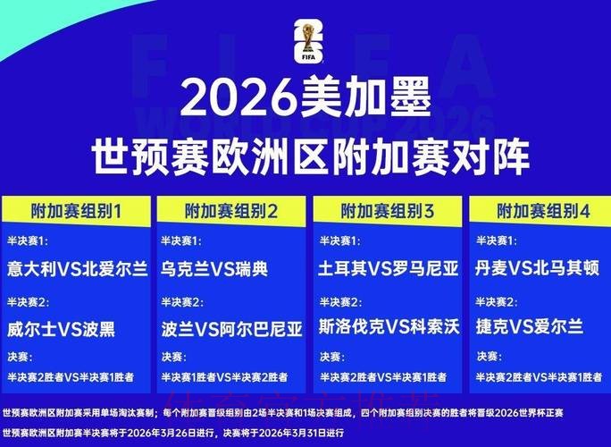 2026世界杯决赛盛况揭晓