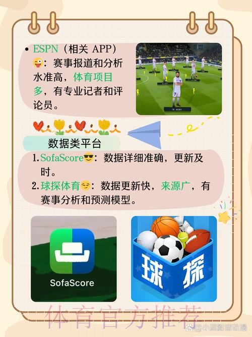 打造优质体验：全面解析世界杯体育APP的功能与优势